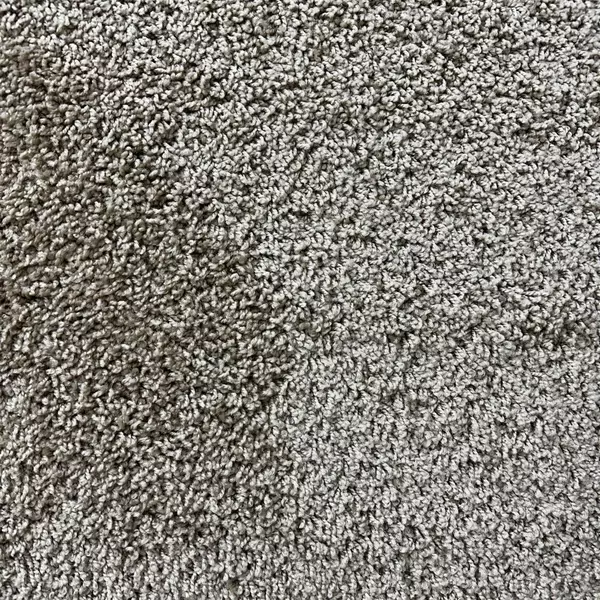 Frieze Carpet